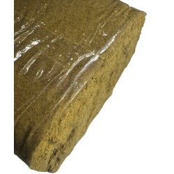 2G Amarillo CBC H1 (35)