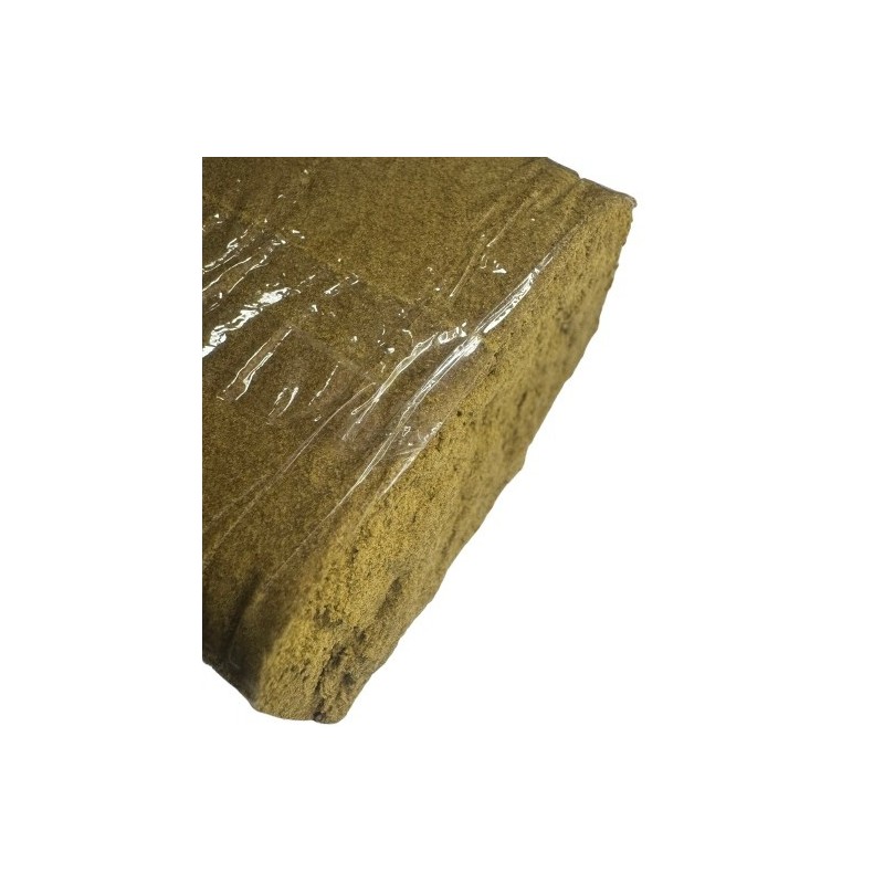 2G Amarillo CBC H1 (35)