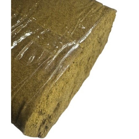 2G Amarillo CBC H1 (35)