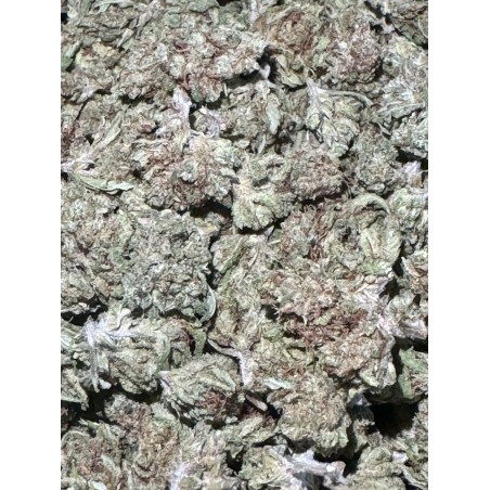 2G MINI GHOST TRAIN 7% CBD (16)