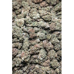 2G MINI GELATO 41 13% CBD (17)