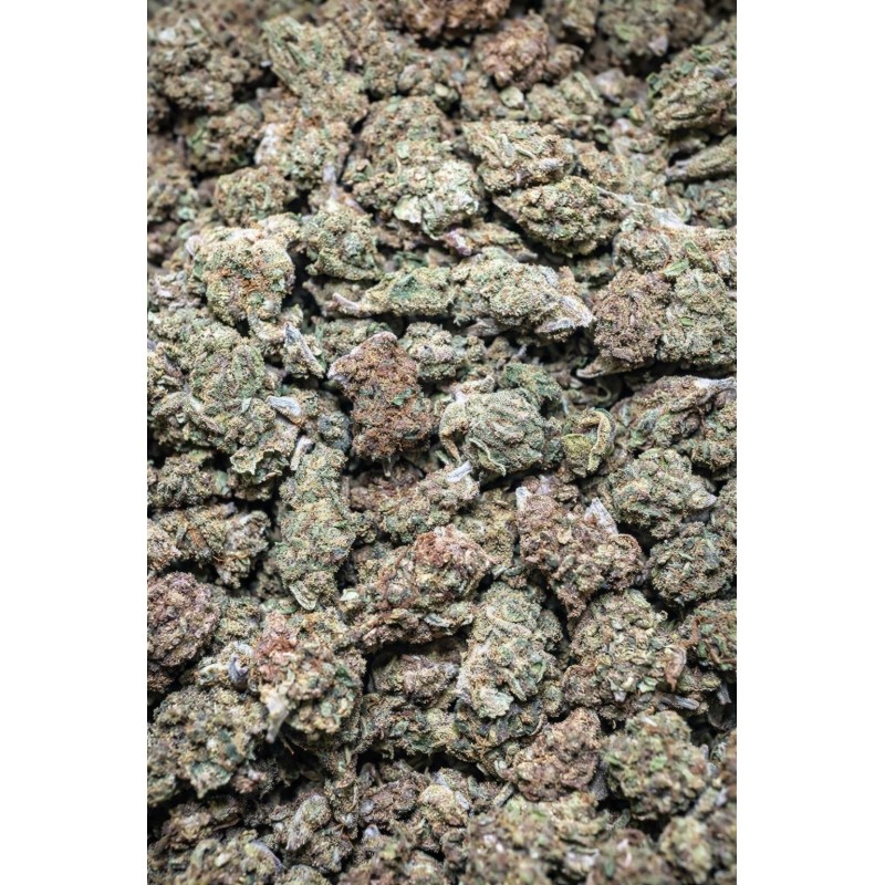 2G MINI GELATO 41 13% CBD (17)