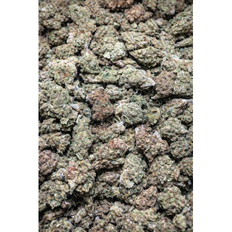 2G MINI GELATO 41 13% CBD (17)