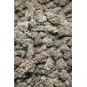 2G MINI GELATO 41 13% CBD (17)