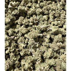 5G REMEDY 3.0 20% CBD (14)