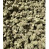 5G REMEDY 3.0 20% CBD (14)