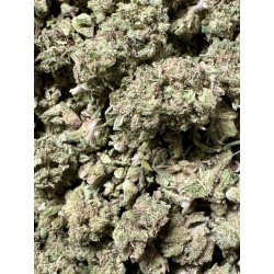 5G REMEDY 3.0 20% CBD (14)
