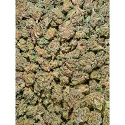 5G SUPER SKUNK 6% CBD (12)