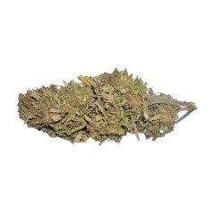 5G COOL BUD 6% CBD (11)