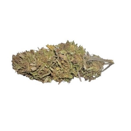 5G COOL BUD 6% CBD (11)