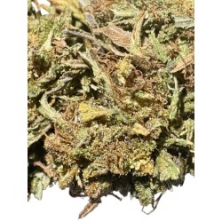 5G COOL BUD 6% CBD (11)
