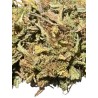 5G COOL BUD 6% CBD (11)