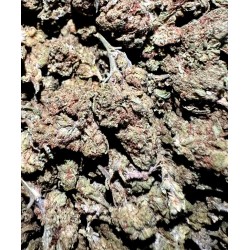 5G CANNATONIC 5% CBD (12) EN PANNE