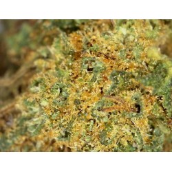 2G MINI SKUNK CHILL 17% CBD (16)