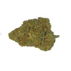 2G JACK BERRY 14% CBD (20)