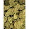 2G JACK BERRY 14% CBD (20)
