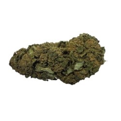 2G GOLDEN GOAT 14% CBD (21)