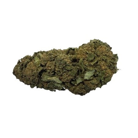 2G GOLDEN GOAT 14% CBD (21)