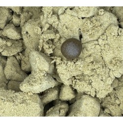 2G ICE O LATOR 47% CBD / 8% CBG (34)