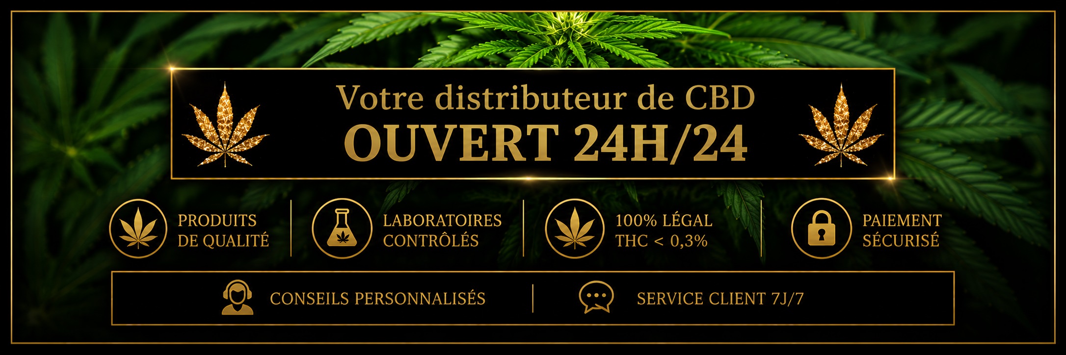 Distributeur CBD